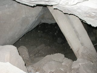 P1010009.JPG