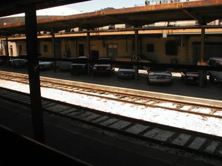 P1010002.JPG