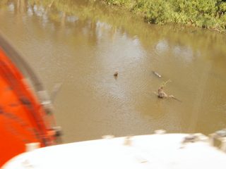 P1010004.JPG