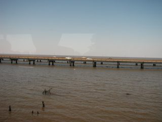 P1010005.JPG