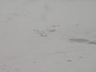 P1010034.JPG