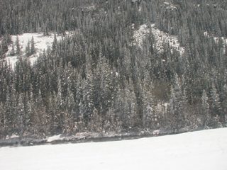 P1010035.JPG