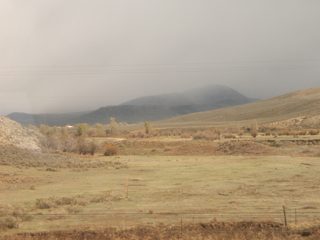 P1010038.JPG