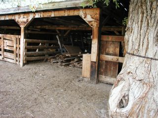 P1010075.JPG