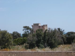 P1010001.JPG