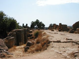 P1010003.JPG