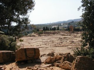 P1010005.JPG