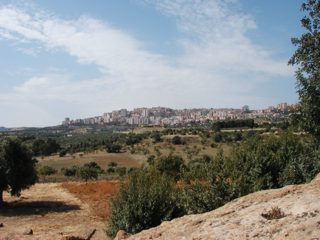 P1010006.JPG