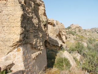 P1010016.JPG
