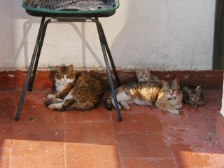 P1010022.JPG