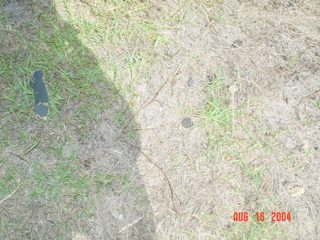 DSC01403.JPG