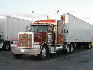P1010003.JPG