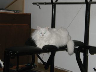 P1010001.JPG