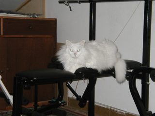 P1010002.JPG