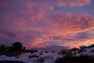 DSC00175.JPG