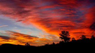 IMG_0362.JPG
