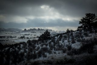 IMG_0365.jpg