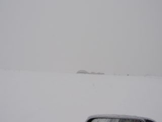 P2050001.JPG