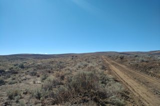 IMG_20181013_1230351.jpg