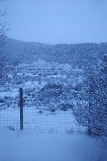 IMG_20181201_0713450.jpg