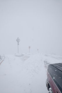 IMG_20190116_1001530.jpg