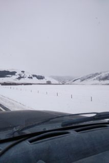 IMG_20190203_1438100.jpg