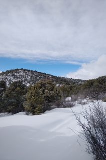 IMG_20190216_1402391.jpg