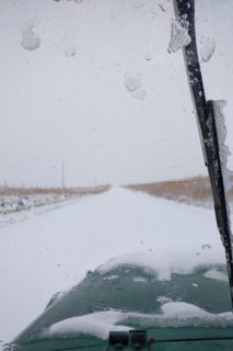 IMG_20191126_1033560.jpg