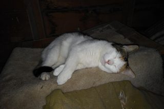 IMG_20200806_1430207.jpg