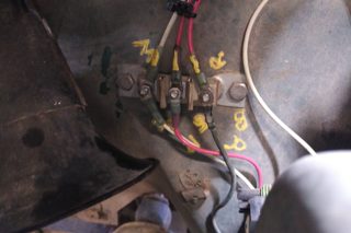 IMG_20201017_1045326.jpg
