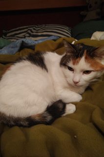 IMG_20201130_0622335.jpg