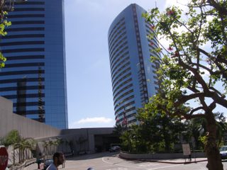 P6210013.JPG