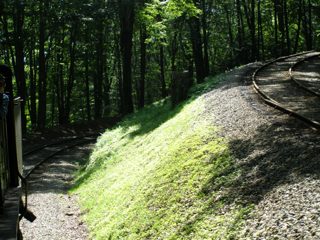 P7150044.JPG