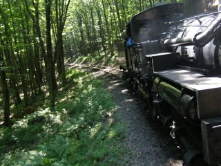 P7150049.JPG