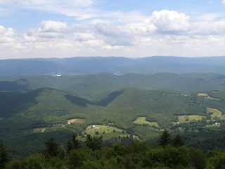 P7150073.JPG