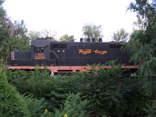 P8220180.JPG