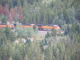 P8230187.JPG