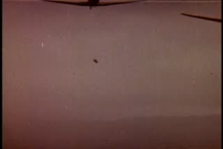 C3_t01.mp4