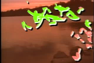 B1_t01.mkv