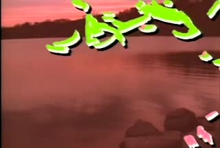 B1_t03.mp4