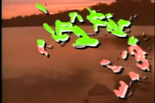 B1_t04.mkv