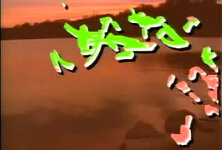 B1_t05.mp4