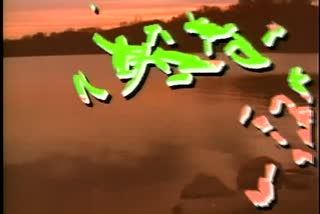 B1_t06.mkv