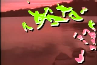 B1_t00.mp4