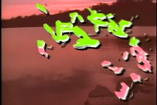 B1_t01.mkv