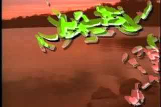 B1_t03.mp4