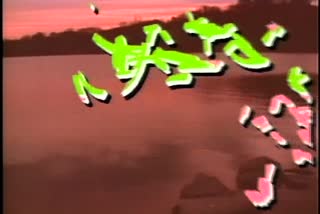 B1_t04.mp4