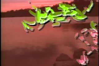 B1_t05.mp4