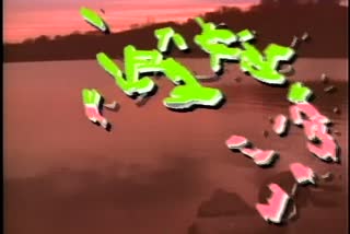 B1_t06.mp4