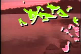B1_t07.mkv
